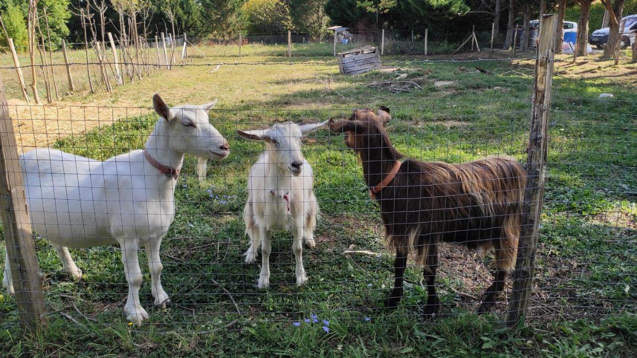 Lacropte Domaine De Potofayol Bed & Breakfast エクステリア 写真