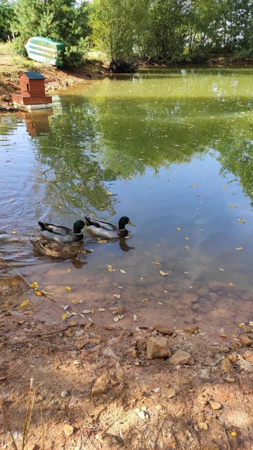 Lacropte Domaine De Potofayol Bed & Breakfast エクステリア 写真