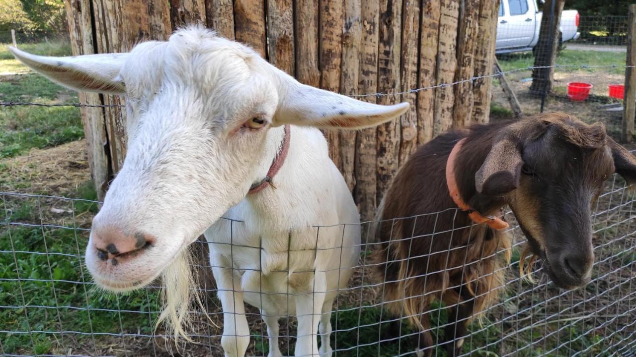 Lacropte Domaine De Potofayol Bed & Breakfast エクステリア 写真